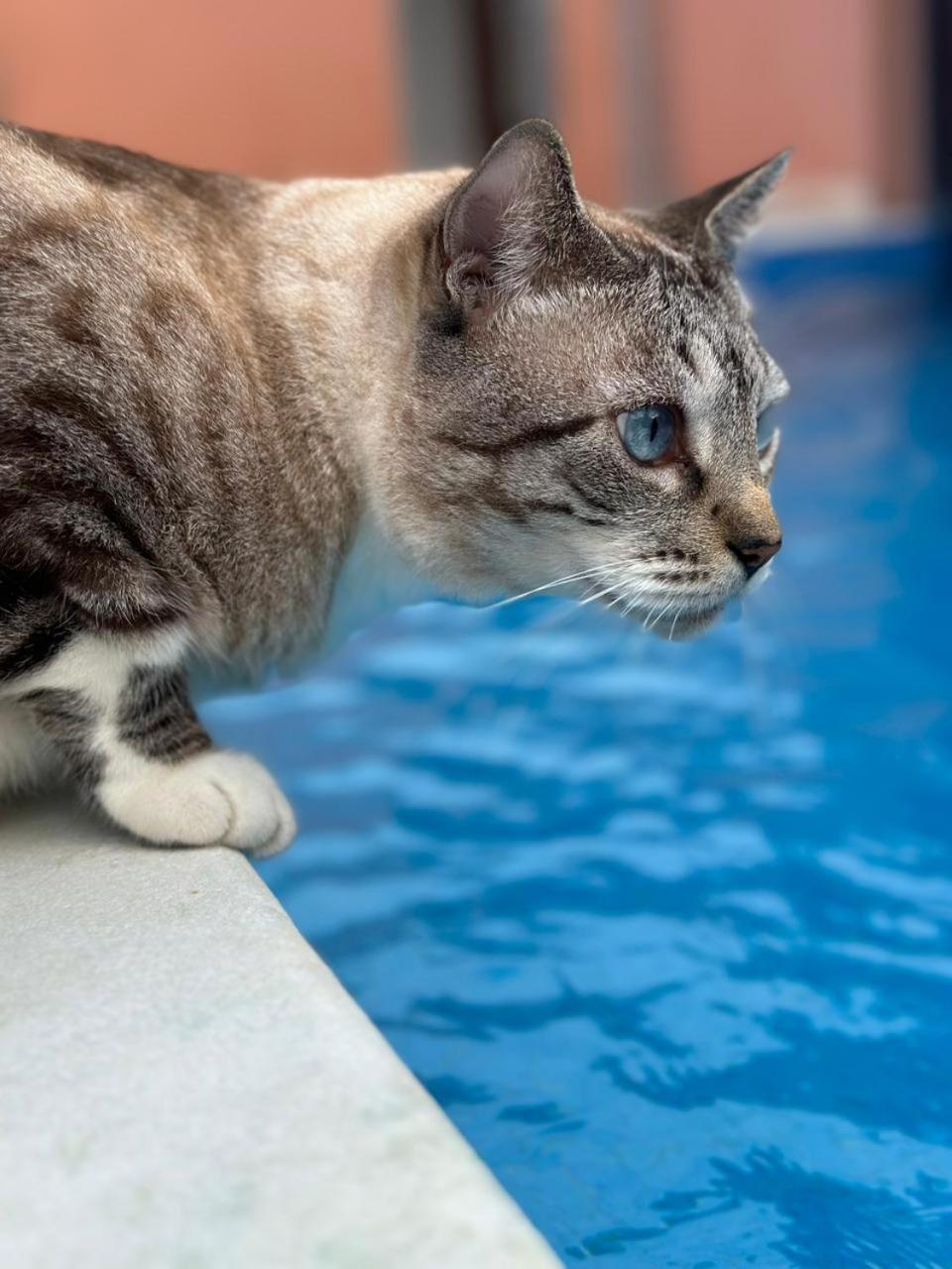 Morena Jambo ปอร์โตเซกูโร ภายนอก รูปภาพ